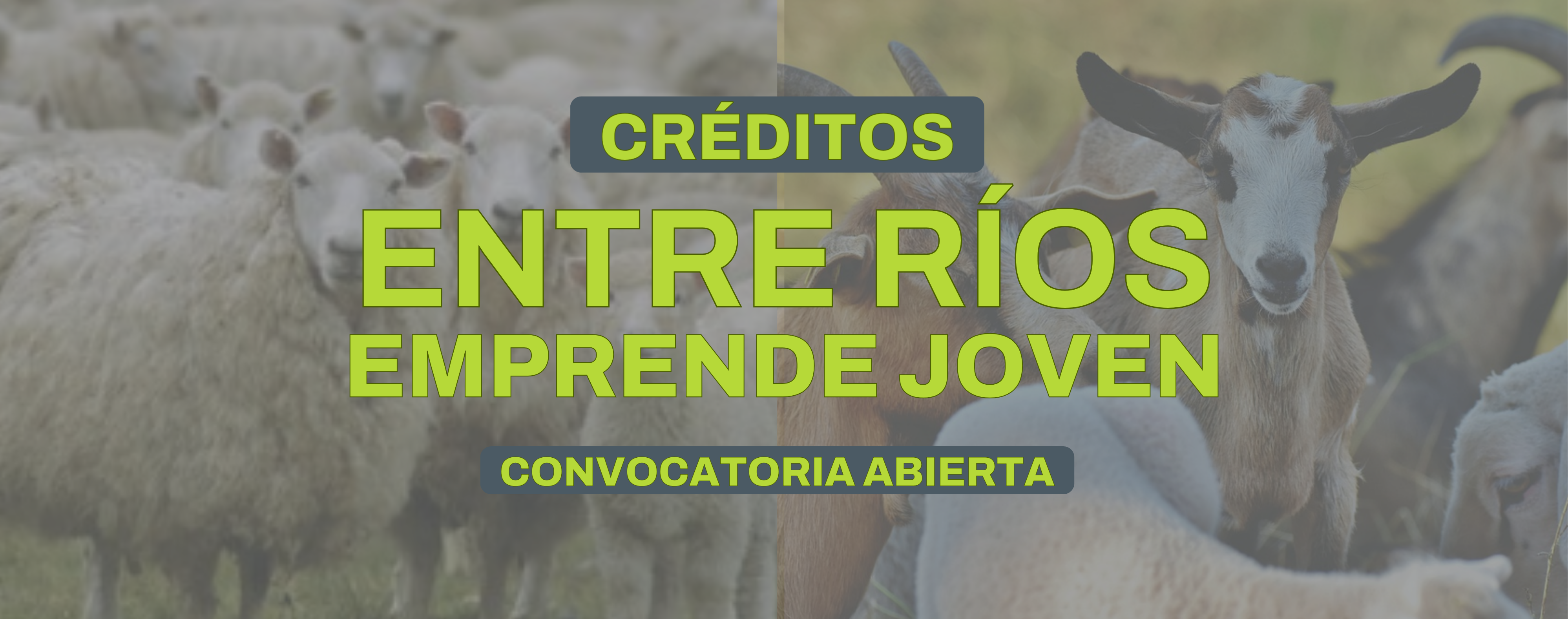 Convocatoria 2026 - Inscripción cerrada