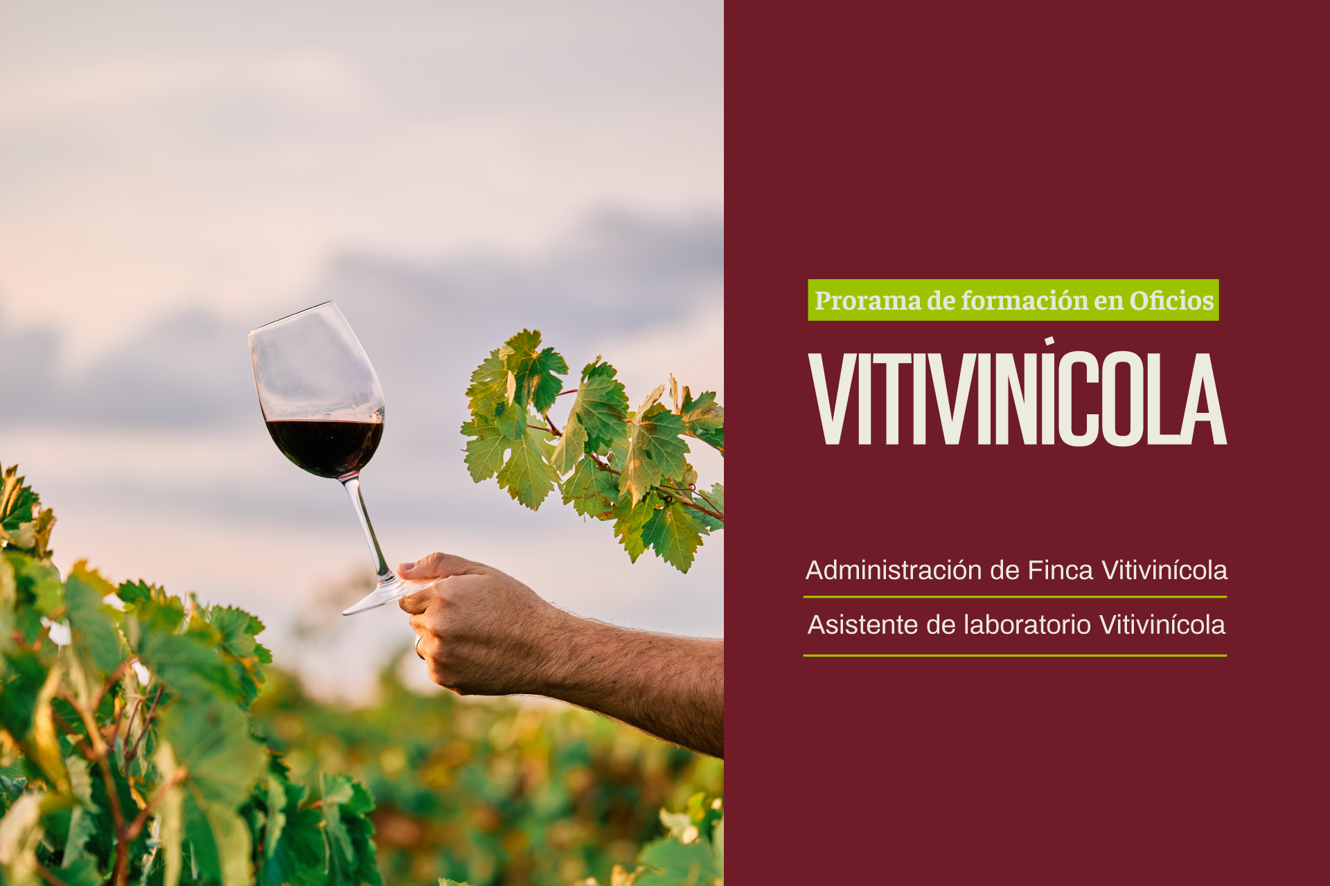 Programa de Formación en Oficios Vitivinícola