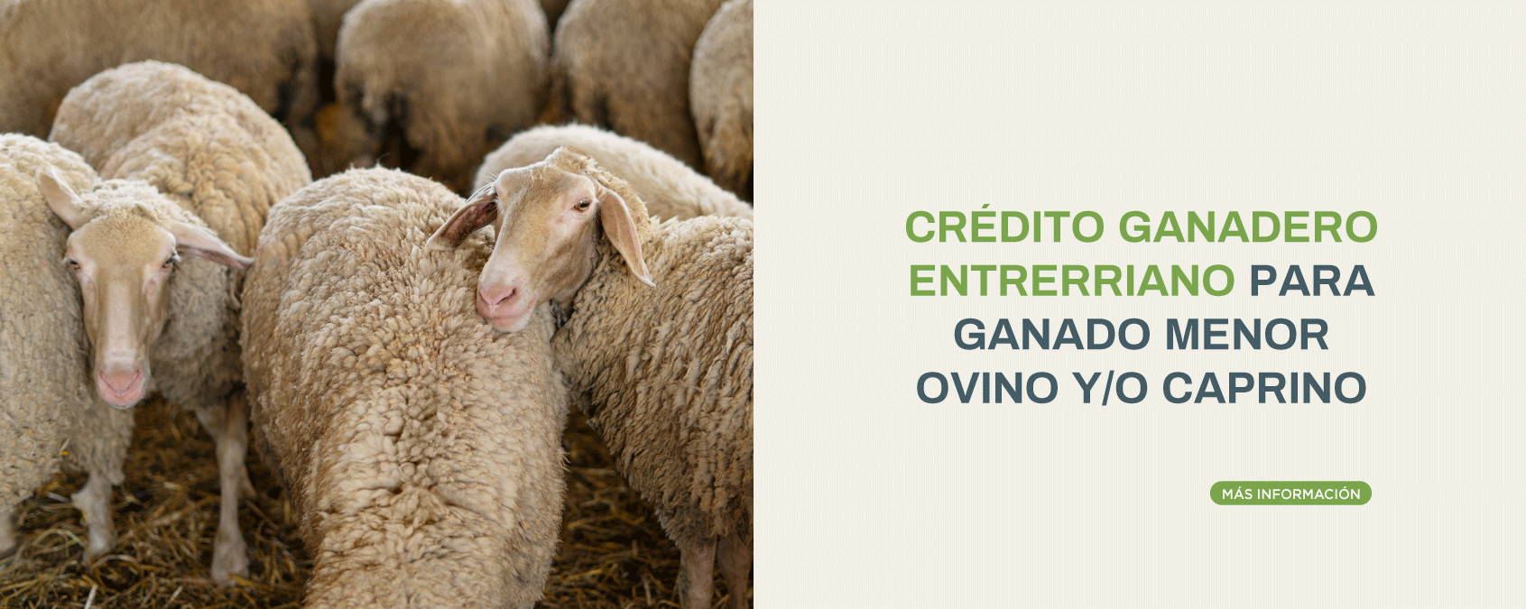 linea credito
