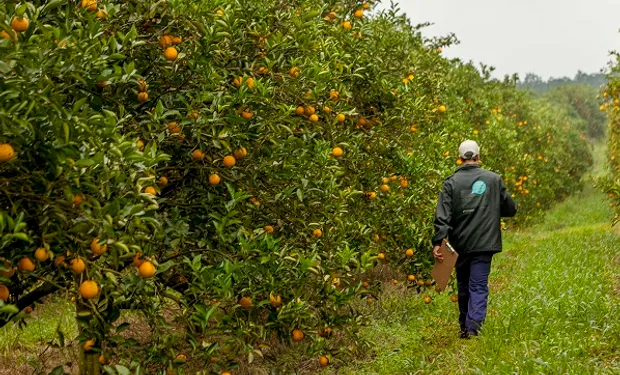 Entre Ríos Emprende Joven: Horticultura, apicultura y citrícola