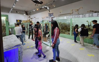 El Museo Antonio Serrano invita a las Visitas Crepusculares