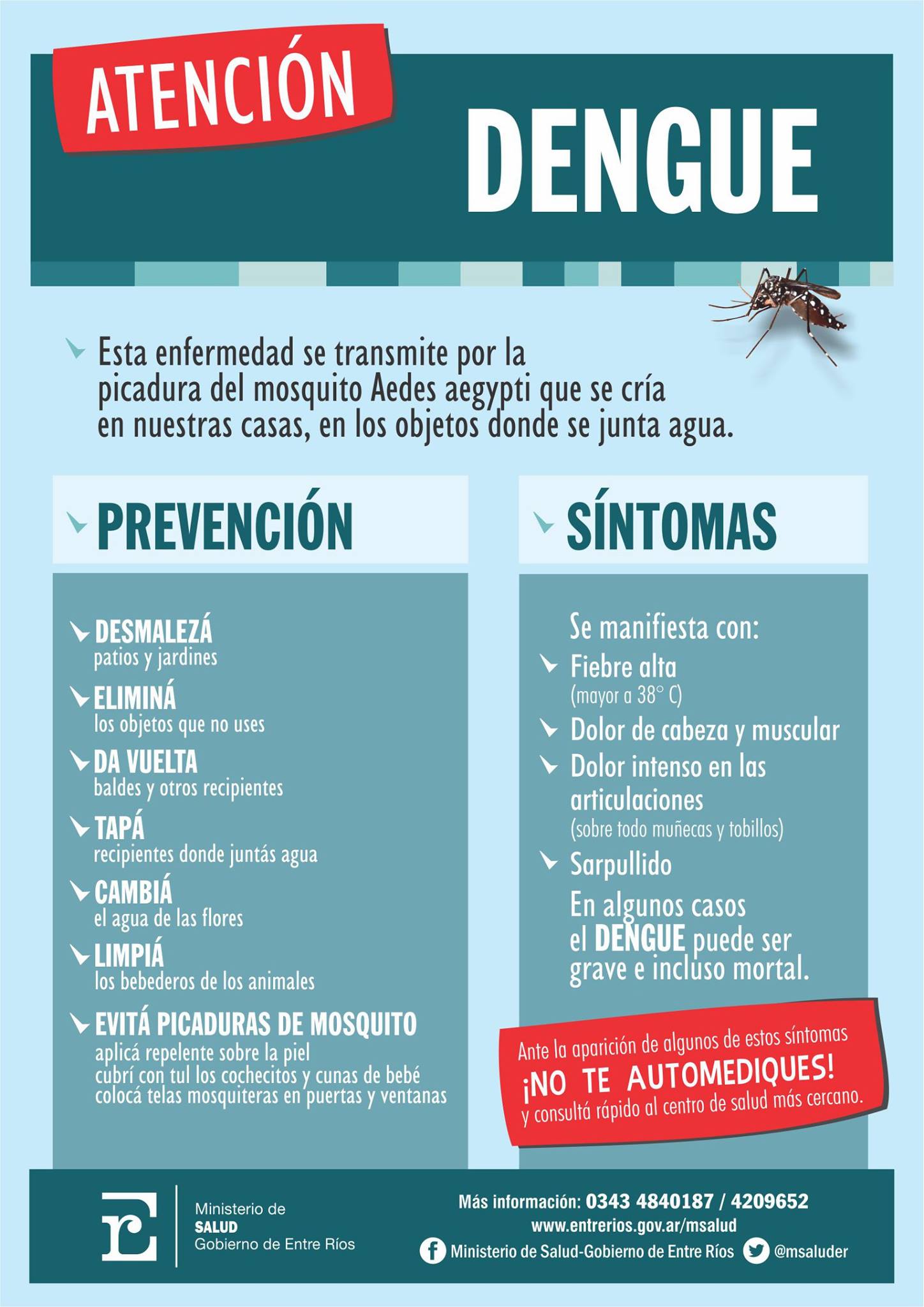 La provincia refuerza las estrategias sanitarias para controlar al dengue Ministerio de Salud