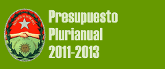 PRESUPUESTO PLURIANUAL 2010-2012
